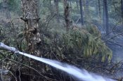 Uludağ - Yiğitali Orman Yangınına Müdehale