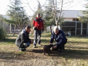 Arama Kurtarma Köpeği Eğitim Çalışmaları