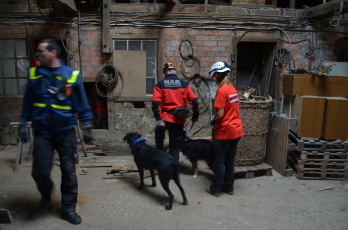 Arama Kurtarma Köpeğimizin Eğitimleri için Almanyadayız