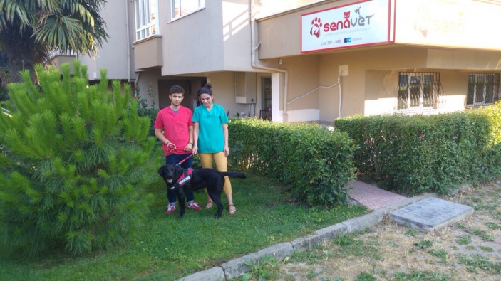 Arama Kurtarma Köpeklerimizin  Diş ve Kulak Bakımları Sponsoru SenaVET