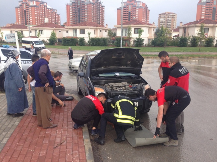 Araç İçindeki Yavru Kediyi Kurtarma Operasyonu