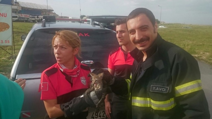 Araç İçindeki Yavru Kediyi Kurtarma Operasyonu