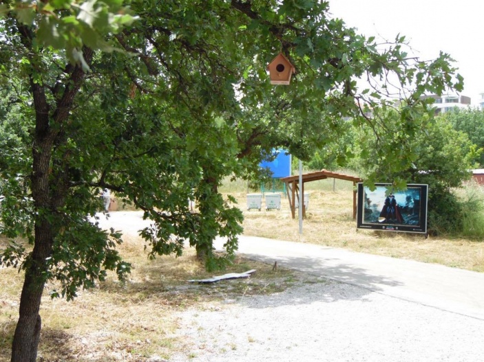 Balat Ormanındaki Minik Kuşlara Yeni Yuva