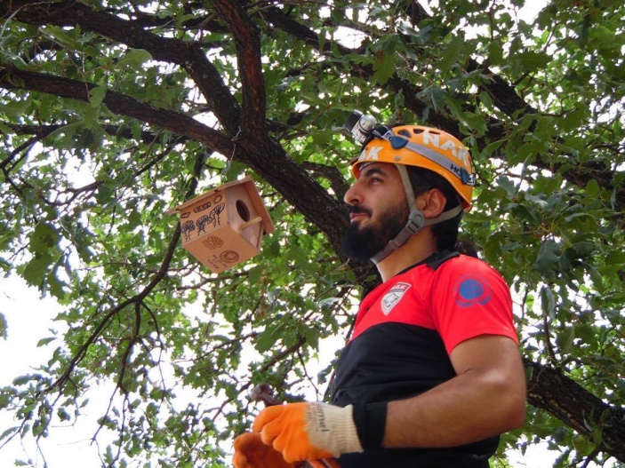 Balat Ormanındaki Minik Kuşlara Yeni Yuva