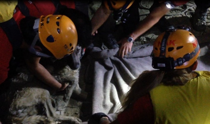 Kayapa Göletinde Mahsur Kalan Köpeği Kurtarma Operasyonu