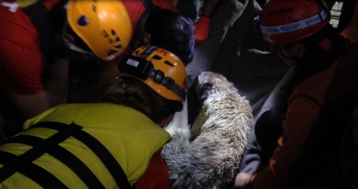 Kayapa Göletinde Mahsur Kalan Köpeği Kurtarma Operasyonu
