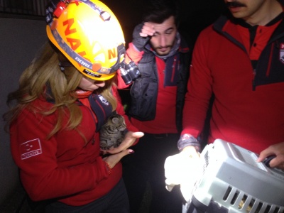 Gider borusunda sıkışan yavru kedileri kurtarma operasyonu